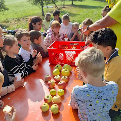 Der Apfel in vielen Sorten zum Schmecken