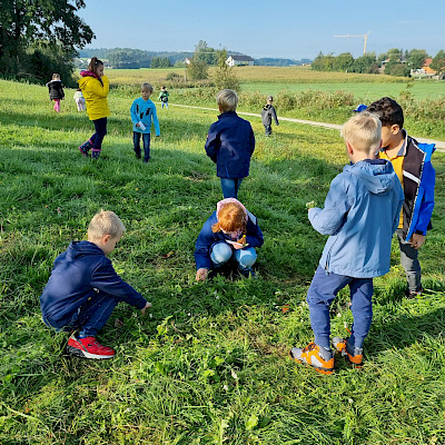 Gruppen suchen typische Blumen der Streuobstwiese