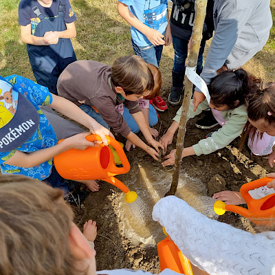 Kinder gießen den Baum