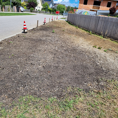 Angelgete Blühwiese mit Stauden