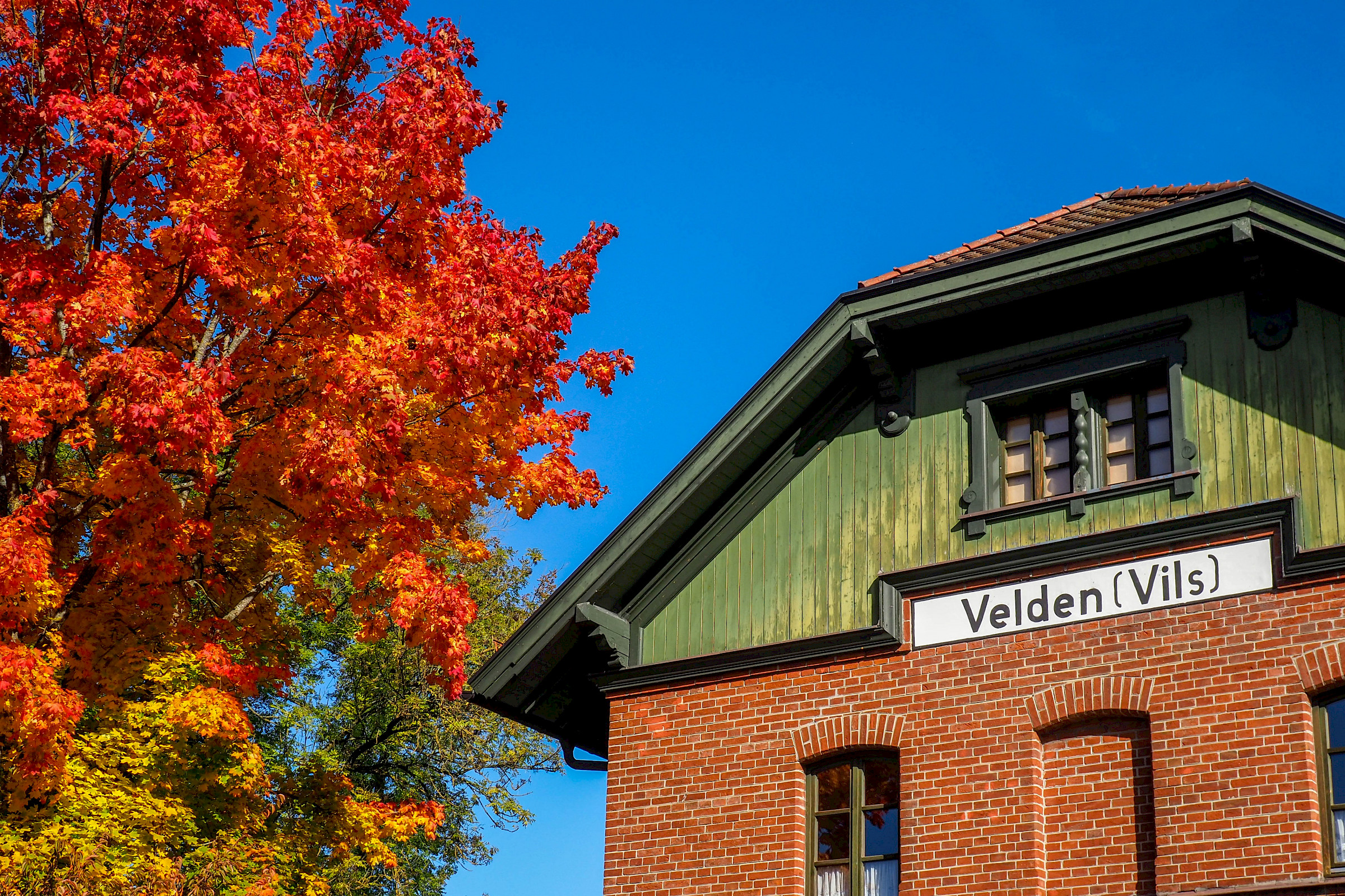 Herbstlicher Baum am Bahnhof Velden