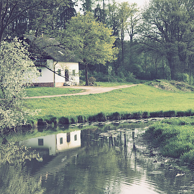 Frühling an der kleinen Vils bei Dietelskirchen Richtung Seyboldsdorf